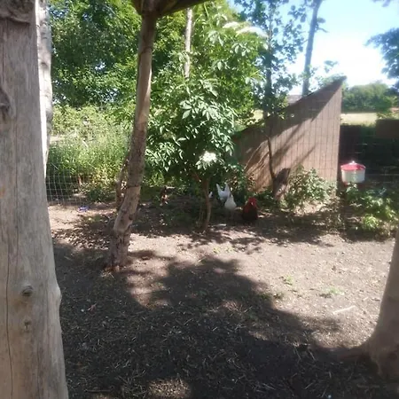 Holidayon Farm Near Koge אתר קמפינג Store Heddinge